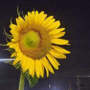 ヒメ日記 2025/07/08 22:23 投稿 畔柳(くろやなぎ) 鶯谷デッドボール