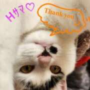 ヒメ日記 2025/07/14 11:00 投稿 畔柳(くろやなぎ) 鶯谷デッドボール