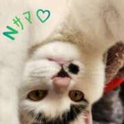 ヒメ日記 2025/07/17 21:34 投稿 畔柳(くろやなぎ) 鶯谷デッドボール