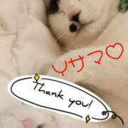 ヒメ日記 2025/07/19 13:10 投稿 畔柳(くろやなぎ) 鶯谷デッドボール