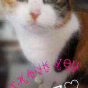 ヒメ日記 2025/07/28 11:29 投稿 畔柳(くろやなぎ) 鶯谷デッドボール