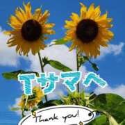 ヒメ日記 2025/08/03 13:00 投稿 畔柳(くろやなぎ) 鶯谷デッドボール