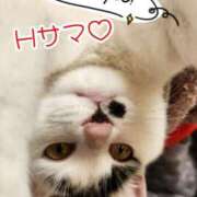 ヒメ日記 2025/08/08 12:19 投稿 畔柳(くろやなぎ) 鶯谷デッドボール