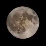 ヒメ日記 2025/08/09 21:33 投稿 畔柳(くろやなぎ) 鶯谷デッドボール