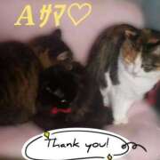 ヒメ日記 2025/08/12 13:09 投稿 畔柳(くろやなぎ) 鶯谷デッドボール