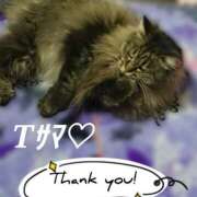 ヒメ日記 2025/08/12 13:12 投稿 畔柳(くろやなぎ) 鶯谷デッドボール