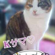 ヒメ日記 2025/08/13 08:16 投稿 畔柳(くろやなぎ) 鶯谷デッドボール