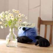 ヒメ日記 2025/11/27 12:02 投稿 畔柳(くろやなぎ) 鶯谷デッドボール