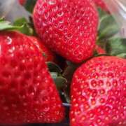 ヒメ日記 2025/12/01 10:39 投稿 畔柳(くろやなぎ) 鶯谷デッドボール