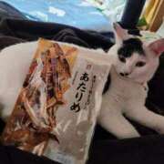 ヒメ日記 2025/12/10 23:19 投稿 畔柳(くろやなぎ) 鶯谷デッドボール