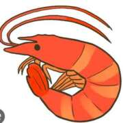 ヒメ日記 2025/12/14 20:19 投稿 畔柳(くろやなぎ) 鶯谷デッドボール