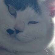 ヒメ日記 2025/12/27 19:22 投稿 畔柳(くろやなぎ) 鶯谷デッドボール