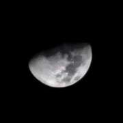 ヒメ日記 2025/12/29 22:19 投稿 畔柳(くろやなぎ) 鶯谷デッドボール