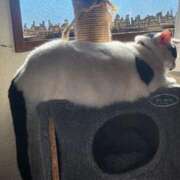 ヒメ日記 2026/01/11 18:49 投稿 畔柳(くろやなぎ) 鶯谷デッドボール