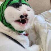 ヒメ日記 2026/01/25 22:29 投稿 畔柳(くろやなぎ) 鶯谷デッドボール