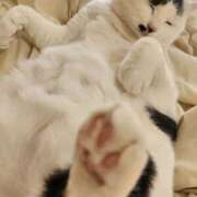 ヒメ日記 2026/02/28 21:19 投稿 畔柳(くろやなぎ) 鶯谷デッドボール