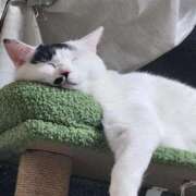 ヒメ日記 2026/03/30 12:14 投稿 畔柳(くろやなぎ) 鶯谷デッドボール