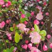 ヒメ日記 2026/03/31 10:49 投稿 畔柳(くろやなぎ) 鶯谷デッドボール