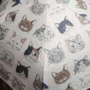 ヒメ日記 2026/04/01 14:39 投稿 畔柳(くろやなぎ) 鶯谷デッドボール