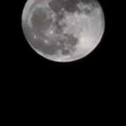 ヒメ日記 2026/04/03 22:39 投稿 畔柳(くろやなぎ) 鶯谷デッドボール