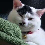 ヒメ日記 2026/04/06 11:09 投稿 畔柳(くろやなぎ) 鶯谷デッドボール