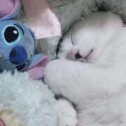 ヒメ日記 2026/04/22 09:31 投稿 畔柳(くろやなぎ) 鶯谷デッドボール