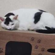ヒメ日記 2026/07/13 10:59 投稿 畔柳(くろやなぎ) 鶯谷デッドボール