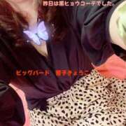 ヒメ日記 2025/06/08 09:04 投稿 響子（きょうこ） ビッグバード