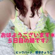 ヒメ日記 2025/06/11 08:28 投稿 響子（きょうこ） ビッグバード