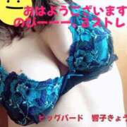 ヒメ日記 2025/07/07 07:44 投稿 響子（きょうこ） ビッグバード