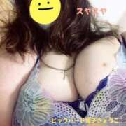 ヒメ日記 2025/07/14 06:44 投稿 響子（きょうこ） ビッグバード