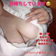 ヒメ日記 2025/07/17 17:24 投稿 響子（きょうこ） ビッグバード