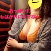 ヒメ日記 2025/07/19 06:54 投稿 響子（きょうこ） ビッグバード