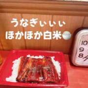 ヒメ日記 2025/07/19 12:06 投稿 響子（きょうこ） ビッグバード