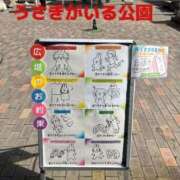 ヒメ日記 2025/09/15 09:54 投稿 響子（きょうこ） ビッグバード