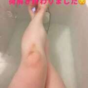 ヒメ日記 2025/09/27 08:04 投稿 響子（きょうこ） ビッグバード