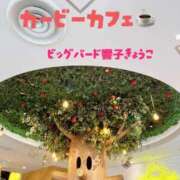 ヒメ日記 2025/10/01 12:28 投稿 響子（きょうこ） ビッグバード