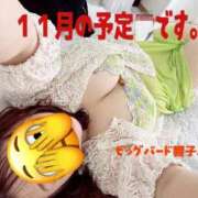 ヒメ日記 2025/11/04 07:34 投稿 響子（きょうこ） ビッグバード