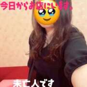 ヒメ日記 2025/11/07 07:44 投稿 響子（きょうこ） ビッグバード