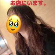 ヒメ日記 2025/11/08 13:14 投稿 響子（きょうこ） ビッグバード