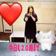 ヒメ日記 2025/11/10 07:54 投稿 響子（きょうこ） ビッグバード