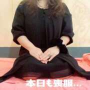 ヒメ日記 2025/11/14 10:34 投稿 響子（きょうこ） ビッグバード