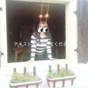 ヒメ日記 2025/11/26 06:34 投稿 響子（きょうこ） ビッグバード