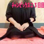 ヒメ日記 2025/11/29 07:14 投稿 響子（きょうこ） ビッグバード