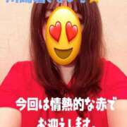 ヒメ日記 2025/12/09 08:18 投稿 響子（きょうこ） ビッグバード