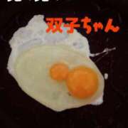 響子（きょうこ） 双子ちゃん ビッグバード