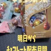 ヒメ日記 2026/01/31 12:14 投稿 響子（きょうこ） ビッグバード