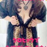 ヒメ日記 2026/02/05 08:04 投稿 響子（きょうこ） ビッグバード