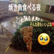 ヒメ日記 2026/02/06 19:44 投稿 響子（きょうこ） ビッグバード