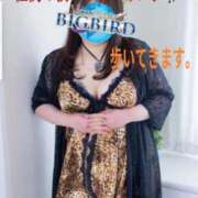 ヒメ日記 2026/02/06 20:44 投稿 響子（きょうこ） ビッグバード